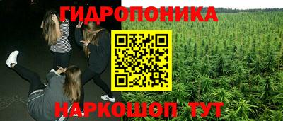 гашишное масло Будённовск