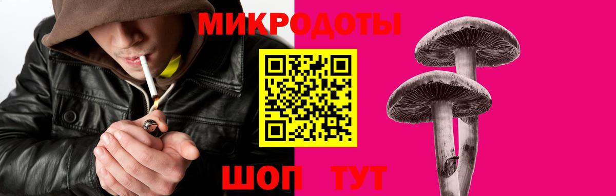 Псилоцибиновые грибы Cubensis Кызыл